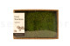 Preserved Mood Moss - Creabox M - Light Green 1