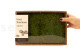 Preserved Mood Moss - Creabox M - Light Green 5