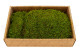 Preserved Mood Moss - Creabox M - Light Green 3