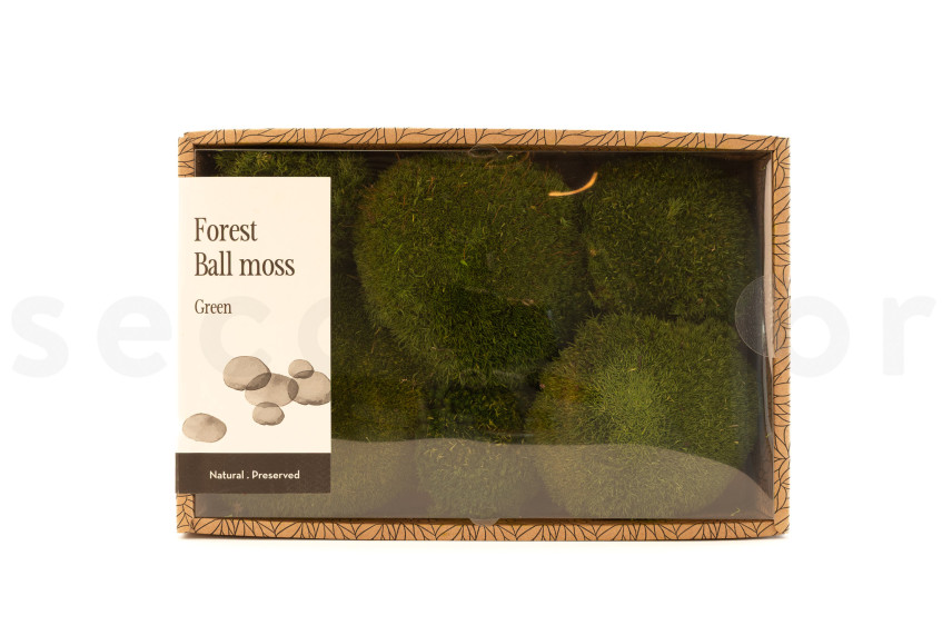 Preserved Pole Moss - Creabox M - Nature Green