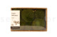 Preserved Pole Moss Nature Green (Creabox M) 2