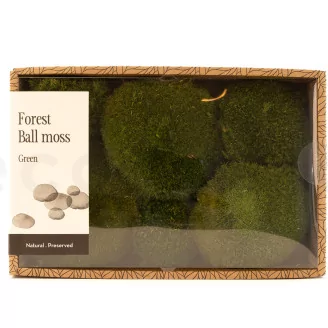 Preserved Pole Moss Nature Green (Creabox M)