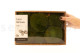 Preserved Pole Moss Nature Green (Creabox M) 6