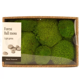 Preserved Pole Moss Light Green (Creabox M)
