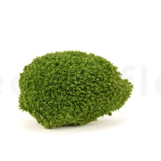 Preserved Pole Moss Light Green (Creabox M)