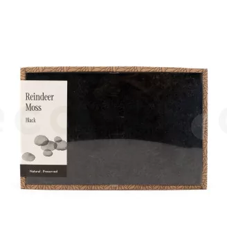 Preserved Reindeer Moss Black (Creabox M)