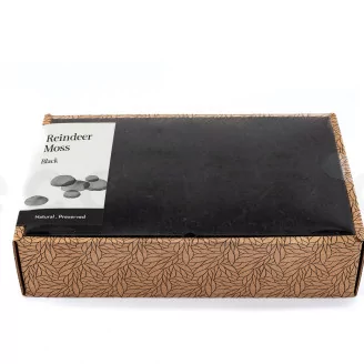 Preserved Reindeer Moss Black (Creabox M)