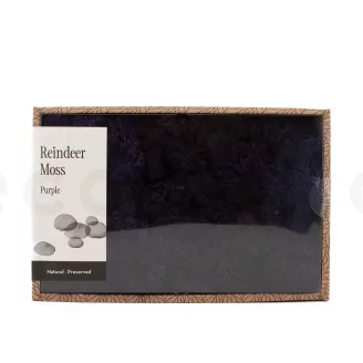 Preserved Reindeer Moss Purple (Creabox M)