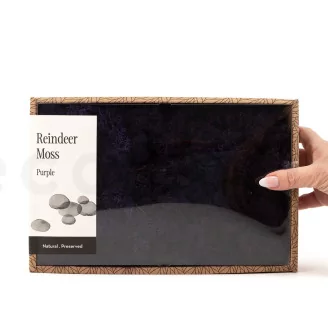 Preserved Reindeer Moss Purple (Creabox M)