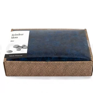 Preserved Reindeer Moss Royal Blue (Creabox M)