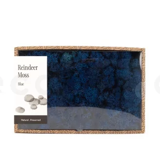 Preserved Reindeer Moss Royal Blue (Creabox M)