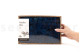 Preserved Reindeer Moss Royal Blue (Creabox M) 6
