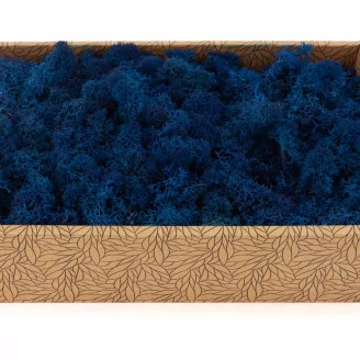Preserved Reindeer Moss Royal Blue (Creabox M)