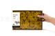 Preserved Reindeer Moss - Creabox M - Yellow 5
