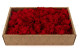Preserved Reindeer Moss Red (Creabox M) 4