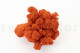 Preserved Reindeer Moss - Creabox M - Orange 2