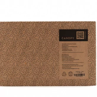 Preserved Reindeer Moss Orange (Creabox M)