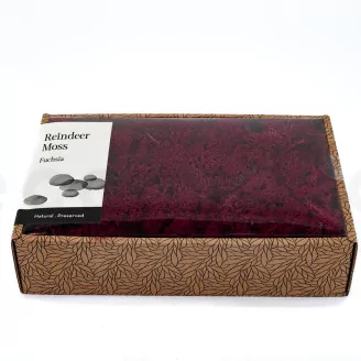 Preserved Reindeer Moss Fuchsia (Creabox M)