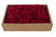 Preserved Reindeer Moss - Creabox M - Fuchsia 3