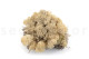 Preserved Reindeer Moss - Creabox M - Cream 2