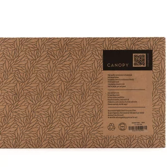 Preserved Reindeer Moss Cream (Creabox M)