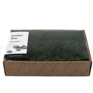 Preserved Reindeer Moss Forest Green (Creabox M)