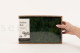 Preserved Reindeer Moss - Creabox M - Forest Green 5