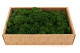 Preserved Reindeer Moss Forest Green (Creabox M) 4
