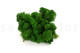 Preserved Reindeer Moss - Creabox M - Forest Green 2