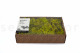 Preserved Reindeer Moss - Creabox M - Lime Green 4