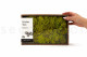 Preserved Reindeer Moss - Creabox M - Lime Green 5