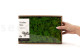 Preserved Reindeer Moss Light Green (Creabox M) 6