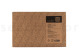 Preserved Reindeer Moss Light Green (Creabox M) 7
