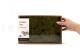 Preserved Reindeer Moss - Creabox M - Medium Green 5