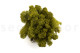 Preserved Reindeer Moss - Creabox M - Medium Green 2