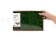 Preserved Reindeer Moss Nature Green (Creabox M) 6