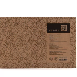 Preserved Reindeer Moss Nature Green (Creabox M)