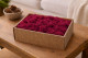 Preserved Reindeer Moss - Creabox M - Fuchsia 1