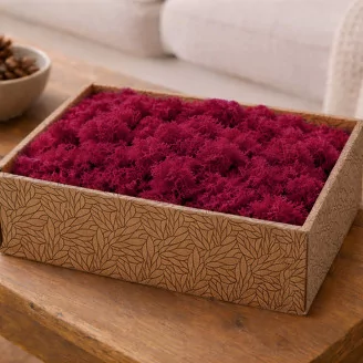 Preserved Reindeer Moss Fuchsia (Creabox M)