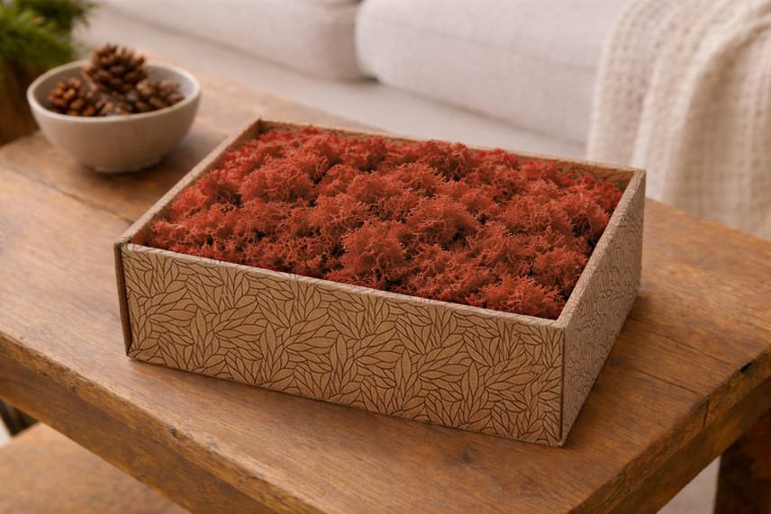 Preserved Reindeer Moss - Creabox M - Orange