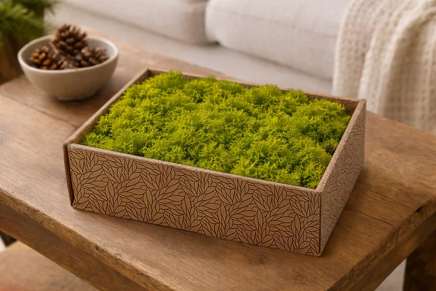 Preserved Reindeer Moss - Creabox M - Lime Green