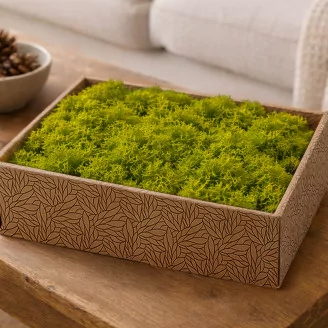 Preserved Reindeer Moss Lime Green (Creabox M)