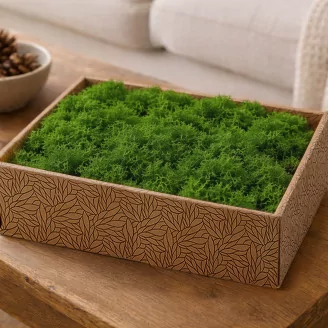Preserved Reindeer Moss Light Green (Creabox M)