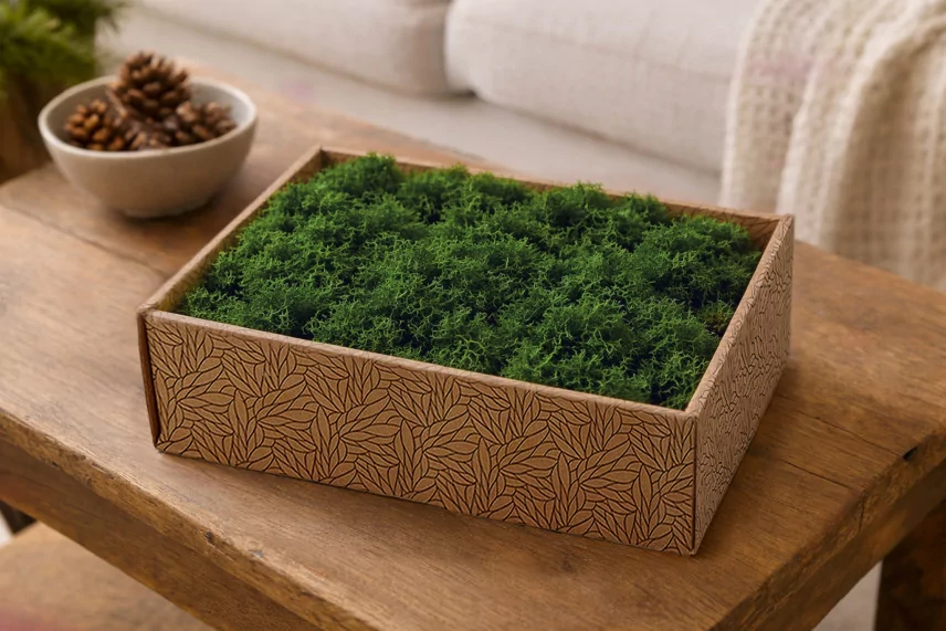 Preserved Reindeer Moss Forest Green (Creabox M)