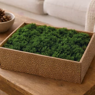 Preserved Reindeer Moss Forest Green (Creabox M)