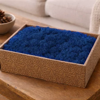 Preserved Reindeer Moss Royal Blue (Creabox M)