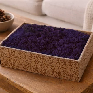 Preserved Reindeer Moss Purple (Creabox M)