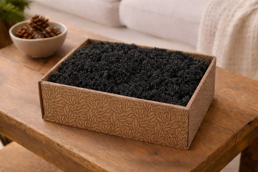 Preserved Reindeer Moss Black (Creabox M)