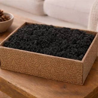 Preserved Reindeer Moss Black (Creabox M)