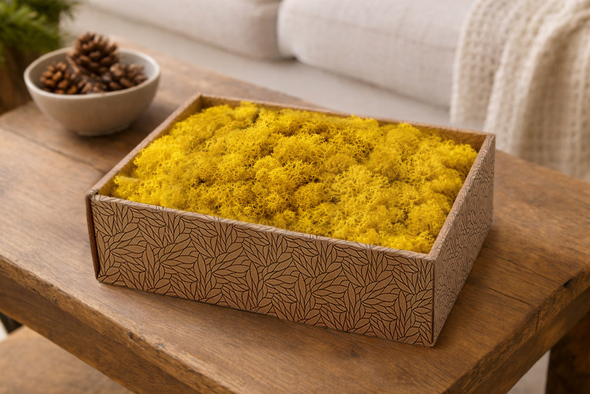 Preserved Reindeer Moss - Creabox M - Yellow